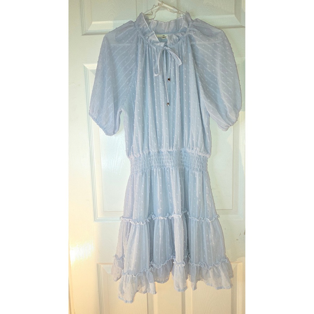 Entro Light Blue Swiss Dot Smocked Waist Tiered Mini Dress Medium D15563